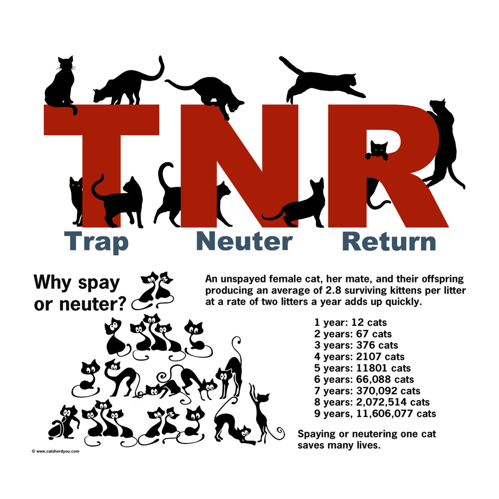TNR Graphic Reproduction Rate