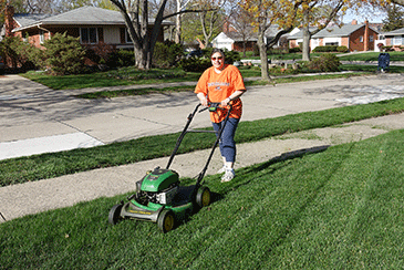 Mowing the Lawn